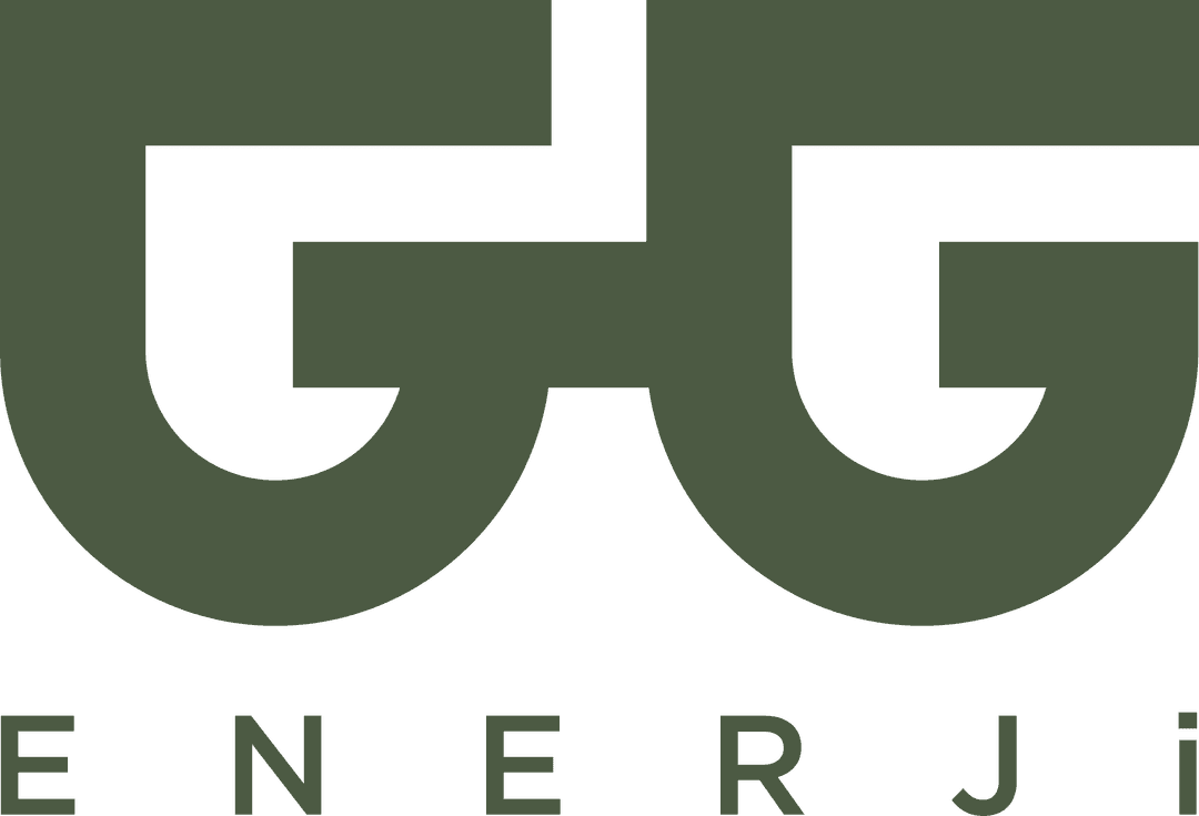 GG Holding